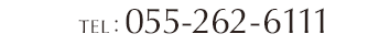 055-262-6111